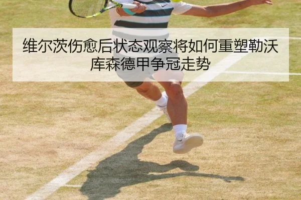 维尔茨伤愈后状态观察将如何重塑勒沃库森德甲争冠走势